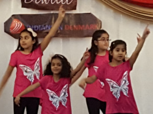 ElmerGlimpses from the Diwali Bash